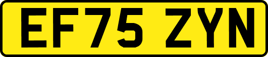 EF75ZYN