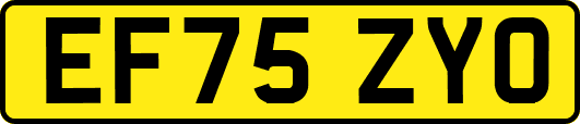 EF75ZYO