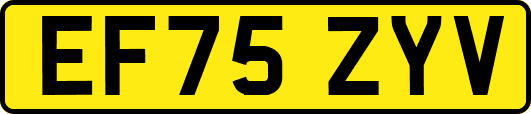 EF75ZYV