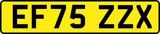 EF75ZZX