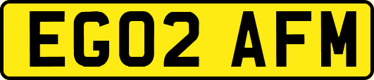 EG02AFM