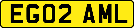 EG02AML