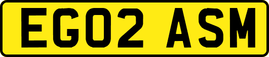 EG02ASM