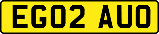 EG02AUO