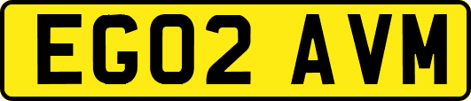 EG02AVM