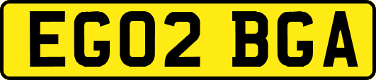 EG02BGA
