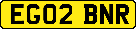 EG02BNR