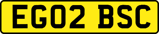 EG02BSC