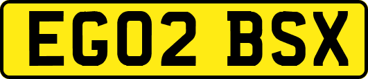 EG02BSX