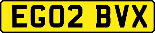 EG02BVX