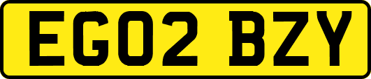 EG02BZY