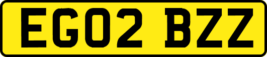 EG02BZZ