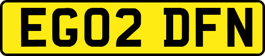 EG02DFN