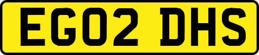 EG02DHS