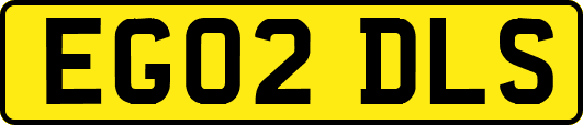 EG02DLS