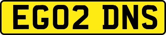 EG02DNS