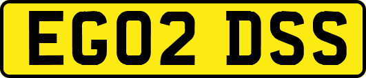 EG02DSS