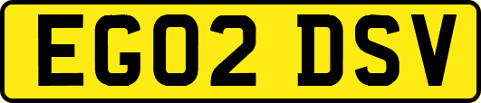 EG02DSV