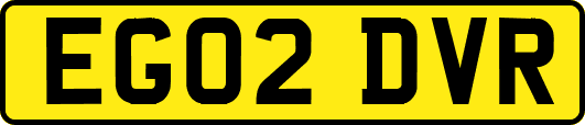 EG02DVR