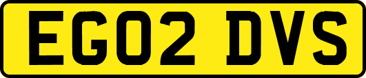 EG02DVS