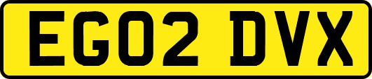 EG02DVX