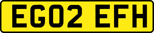 EG02EFH