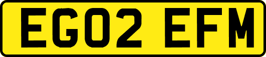 EG02EFM