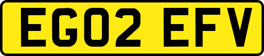 EG02EFV