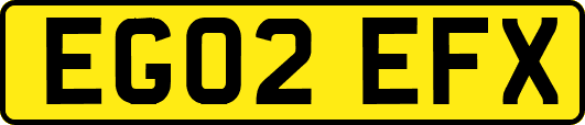 EG02EFX