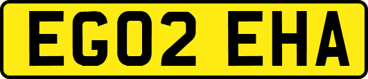 EG02EHA