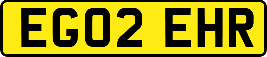 EG02EHR