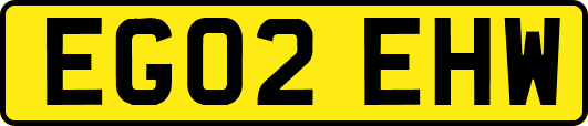 EG02EHW