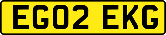 EG02EKG