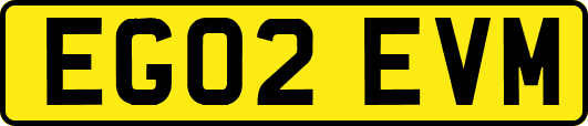 EG02EVM