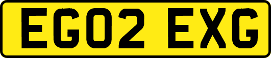 EG02EXG