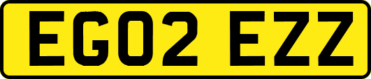 EG02EZZ