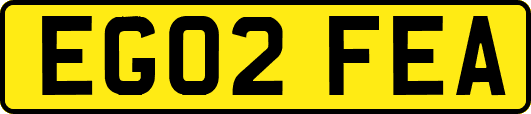 EG02FEA