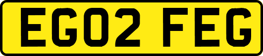 EG02FEG