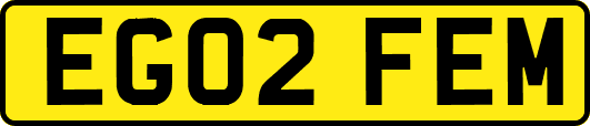 EG02FEM