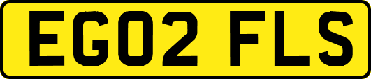 EG02FLS