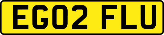 EG02FLU