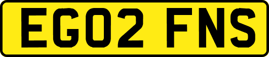 EG02FNS