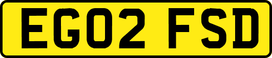 EG02FSD