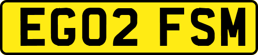 EG02FSM