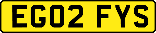 EG02FYS