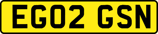 EG02GSN