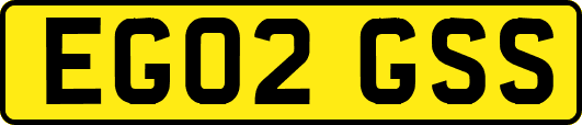 EG02GSS