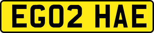 EG02HAE