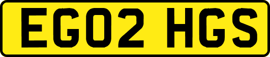 EG02HGS
