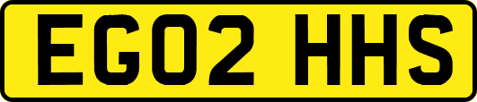 EG02HHS